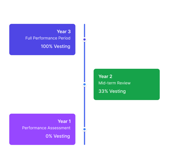3-year performance vesting plan